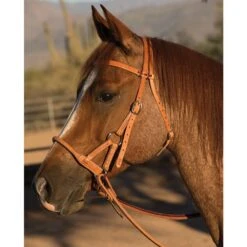 Professionals Choice Side Pull Round Leather Nose