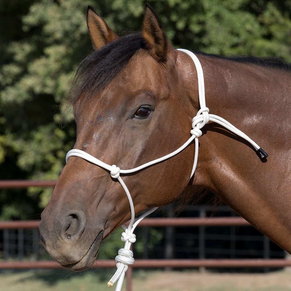 Wigwam Halter Company Premium 48-Strand Halter With 8` Lead 3 Wigwam Halter Company Premium 48-Strand Halter With 8` Lead