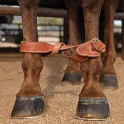 Professionals Choice Leather Twist Hobble 7 Professionals Choice Leather Twist Hobble -NR Classic Horse Gear Shop 1275HL lifestyle1