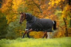 Horseware Ireland Amigo Bravo 12 Plus Turn Out Blanket