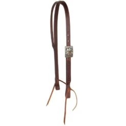 Cowperson Tack Exclusive Silver Sleepy Sunflower Slit Ear Headstall