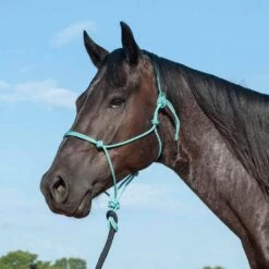 Classic Turquoise Premium Rope Halter W/9ft Black Lead