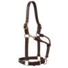 Weaver Leather Horse 1in Oiled Track Halter 2 Weaver Leather Horse 1in Oiled Track Halter -NR Classic Horse Gear Shop 136853 default l
