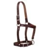 Weaver Leather Burgundy Latigo Leather Riveted Horse Halter 1 Weaver Leather Burgundy Latigo Leather Riveted Horse Halter -NR Classic Horse Gear Shop 140763 default l