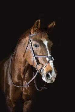 Pessoa Pro Fancy Figure 8 Bridle
