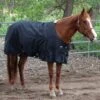 Professionals Choice Black 1200D Horse Blanket -NR Classic Horse Gear Shop 147094 default l
