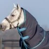 Horseware Ireland Amigo Bravo 12 T/O Hood 150g -NR Classic Horse Gear Shop 157350 default l