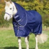 Horseware Ireland Amigo Hero 900 Pony Plus Turnout 200g -NR Classic Horse Gear Shop 157364 default l