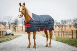 Horseware Ireland Mio Insulator 150g