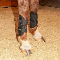 Classic Equine Black MagNTX Magnetic Tendon Wrap