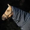 Horseware Ireland Amigo Bravo 12 Turnout Hood 150g 2 Horseware Ireland Amigo Bravo 12 Turnout Hood 150g -NR Classic Horse Gear Shop 159788 default l