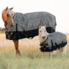 Professionals Choice Cheetah Mini Pony Equisential 1200D Winter Blanket -NR Classic Horse Gear Shop 159826 default l