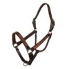 Professionals Choice Professional ' S Black Floral Leather Halter -NR Classic Horse Gear Shop 163916 default l