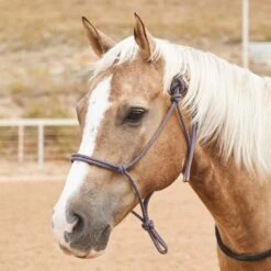 Steele Halters Average Horse Rope Halter 17 Steele Halters Average Horse Rope Halter -NR Classic Horse Gear Shop 166289 default l