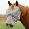 Cashel Company Crusader Long Nose Horse Fly Mask 2 Cashel Company Crusader Long Nose Horse Fly Mask -NR Classic Horse Gear Shop 16715 default l