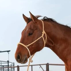 Martin Saddlery Rope Nose Halter With Lead 12 Martin Saddlery Rope Nose Halter With Lead -NR Classic Horse Gear Shop 186648 538009