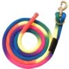 Tough 1 Nylon Rainbow Leads With Replaceable Hardware 2 Tough 1 Nylon Rainbow Leads With Replaceable Hardware -NR Classic Horse Gear Shop 202576 609421