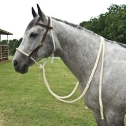 Mustang Working Hackamore