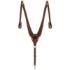Weaver Leather Synergy Pulling Breast Collar 2 Weaver Leather Synergy Pulling Breast Collar -NR Classic Horse Gear Shop 203458 613334
