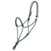 Weaver Leather Silvertip No.95 Halter With Clip
