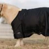 Professionals Choice Black 1200D Pony Winter Blanket -NR Classic Horse Gear Shop 214478 664428