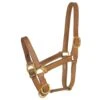 Professionals Choice 1in Average Horse Harness Leather Turn Out Halter 2 Professionals Choice 1in Average Horse Harness Leather Turn Out Halter -NR Classic Horse Gear Shop 228204 724942
