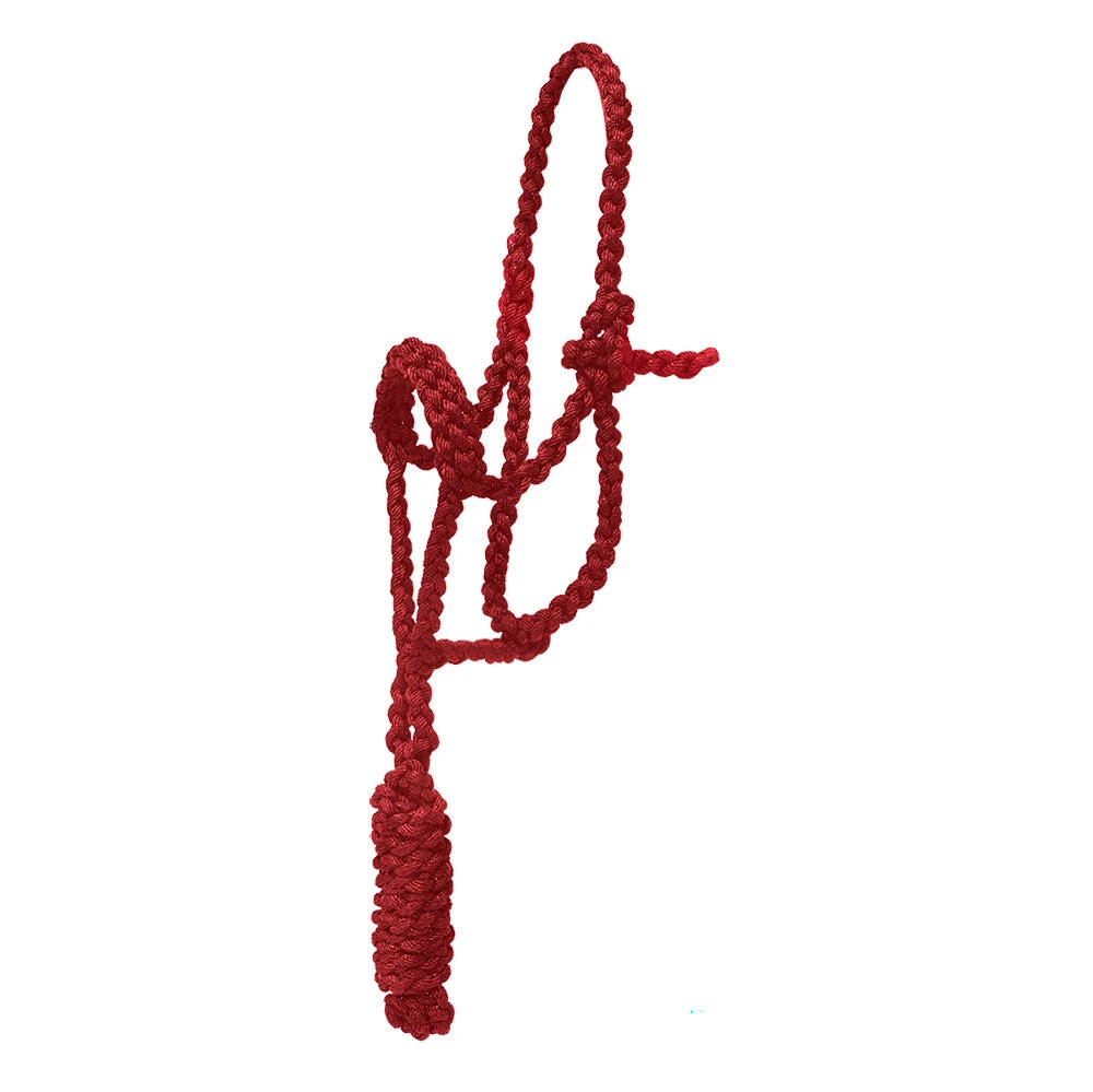 Mustang Pony Flat Braided Noseband Halter W/7ft Lead 3 Mustang Pony Flat Braided Noseband Halter W/7ft Lead