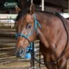 Caudle`S Halters Rope Nose Halter With An 8 1/2ft Lead Rope -NR Classic Horse Gear Shop 231933 737608