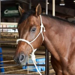 Caudle`S Halters Rope Nose Halter With An 8 1/2ft Lead Rope -NR Classic Horse Gear Shop 231933 737610