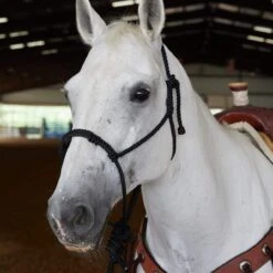 Caudle`S Halters Rope Nose Halter With An 8 1/2ft Lead Rope -NR Classic Horse Gear Shop 231933 737611