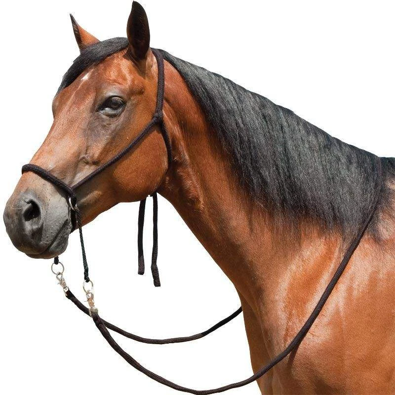 Mustang Bitless Bridle 3 Mustang Bitless Bridle