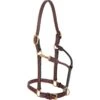 Weaver Leather Double Buckle Crown Cob Halter -NR Classic Horse Gear Shop 33747 default l