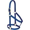 Weaver Leather Small 2-Ply Halter