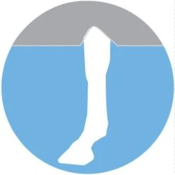 Horseware Ireland Rambo Flybuster With No-Fly Zone 10 Horseware Ireland Rambo Flybuster With No-Fly Zone -NR Classic Horse Gear Shop 7672 leg arches 6bdff58d fd2e 497c 8c61 e1c47cc6f1ee