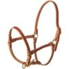 Nrs Tack Foal Weanling Leather Halter 2 Nrs Tack Foal Weanling Leather Halter -NR Classic Horse Gear Shop 87432 default l