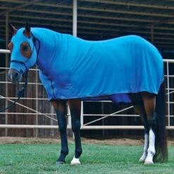 Sleazy Sleepwear For Horses Full Body Sleazy -NR Classic Horse Gear Shop 8942 23679