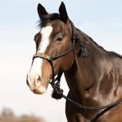 Professionals Choice Cowboy Braided Black Halter And Lead -NR Classic Horse Gear Shop 93279 default l