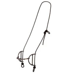 Dutton Bits Twisted Sweet/Copper Draw Gag Bit & Headstall