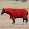 NRS Turnout Horse Neck Cover -NR Classic Horse Gear Shop 98303 default l