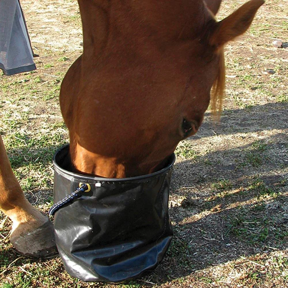 Collapsible Water Pail 4 Collapsible Water Pail - Image 2