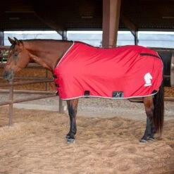 Classic Closed Front Stable Sheet 25 Classic Closed Front Stable Sheet -NR Classic Horse Gear Shop CENSC CHLI1