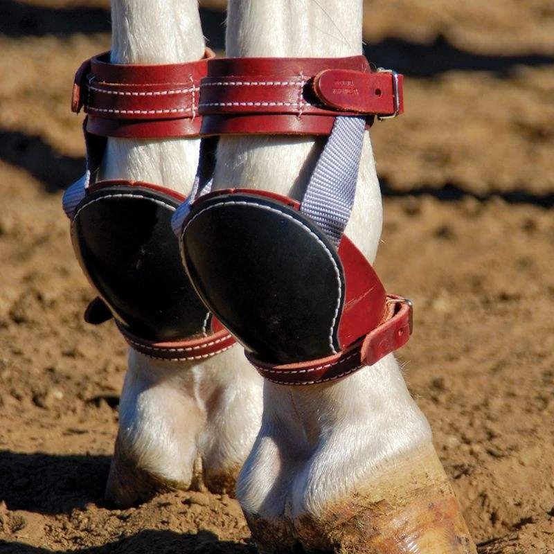 NRS Ed Galemba Roper Skid Horse Boots 4 NRS Ed Galemba Roper Skid Horse Boots - Image 2