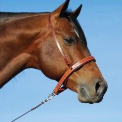 Martin Saddlery Harness Leather Noseband/Cavesson Combo -NR Classic Horse Gear Shop NB100HCAV IMG