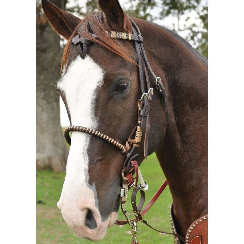 Martin Saddlery Chocolate Single Rope Martin Saddlery Noseband 5 Martin Saddlery Chocolate Single Rope Martin Saddlery Noseband - Image 3