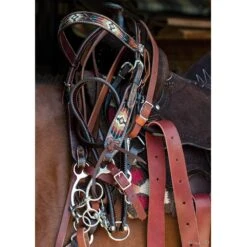 Circle Y Saddlery South West Beaded Browband Headstall -NR Classic Horse Gear Shop X0216 600V 2